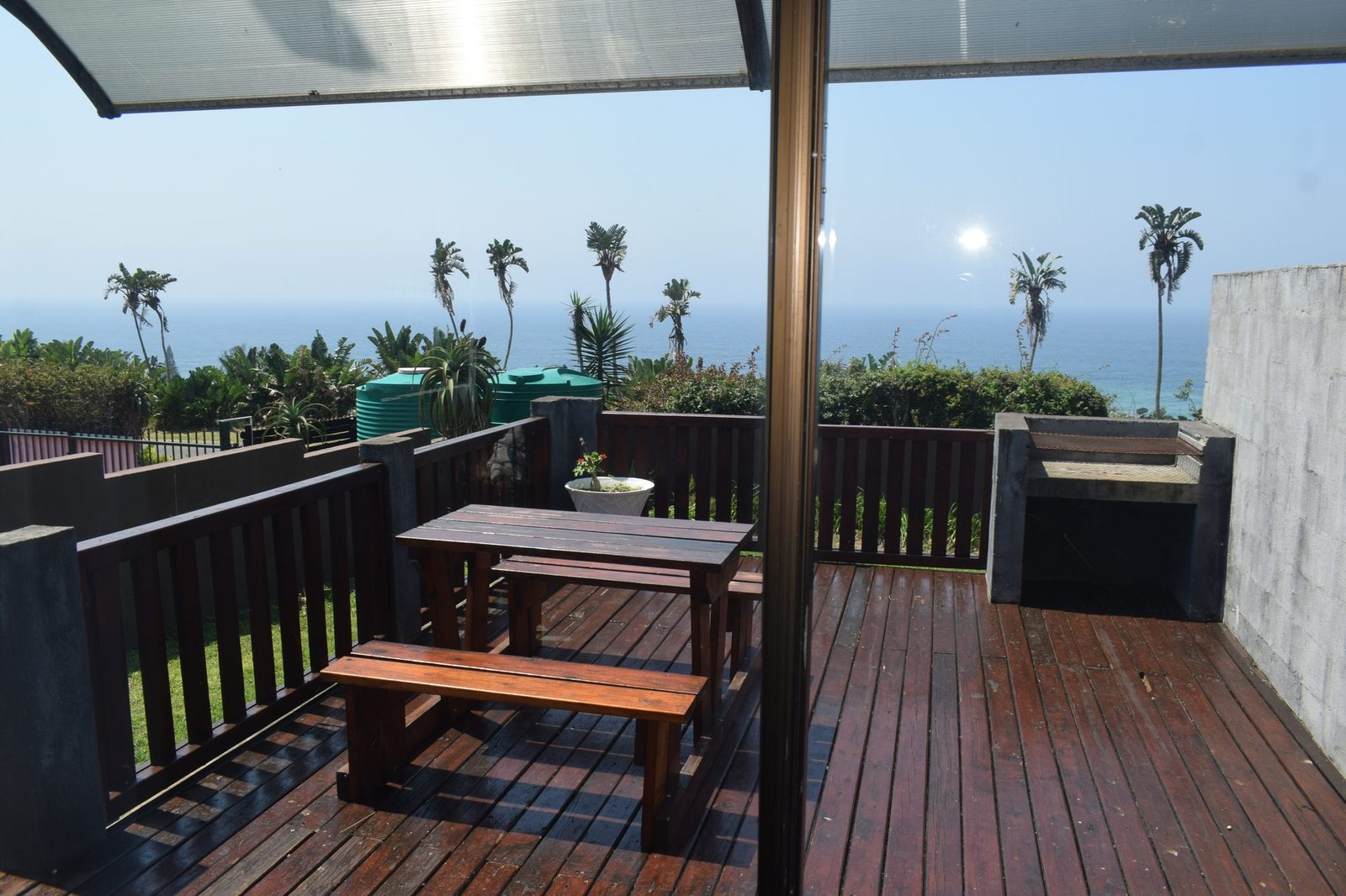 Seahorse deck looking over the palms to the ocean