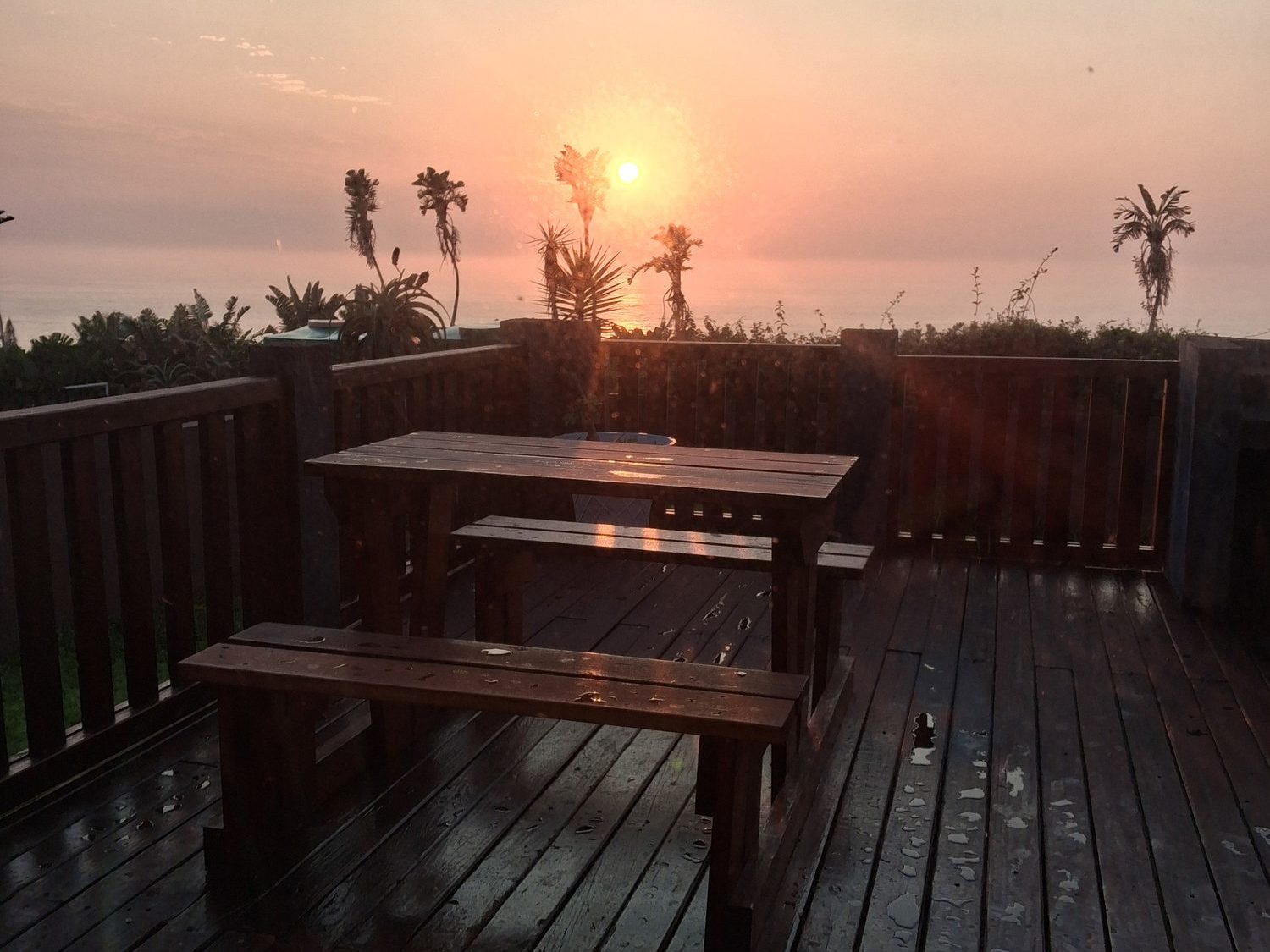 Seahorse deck at sunrise
